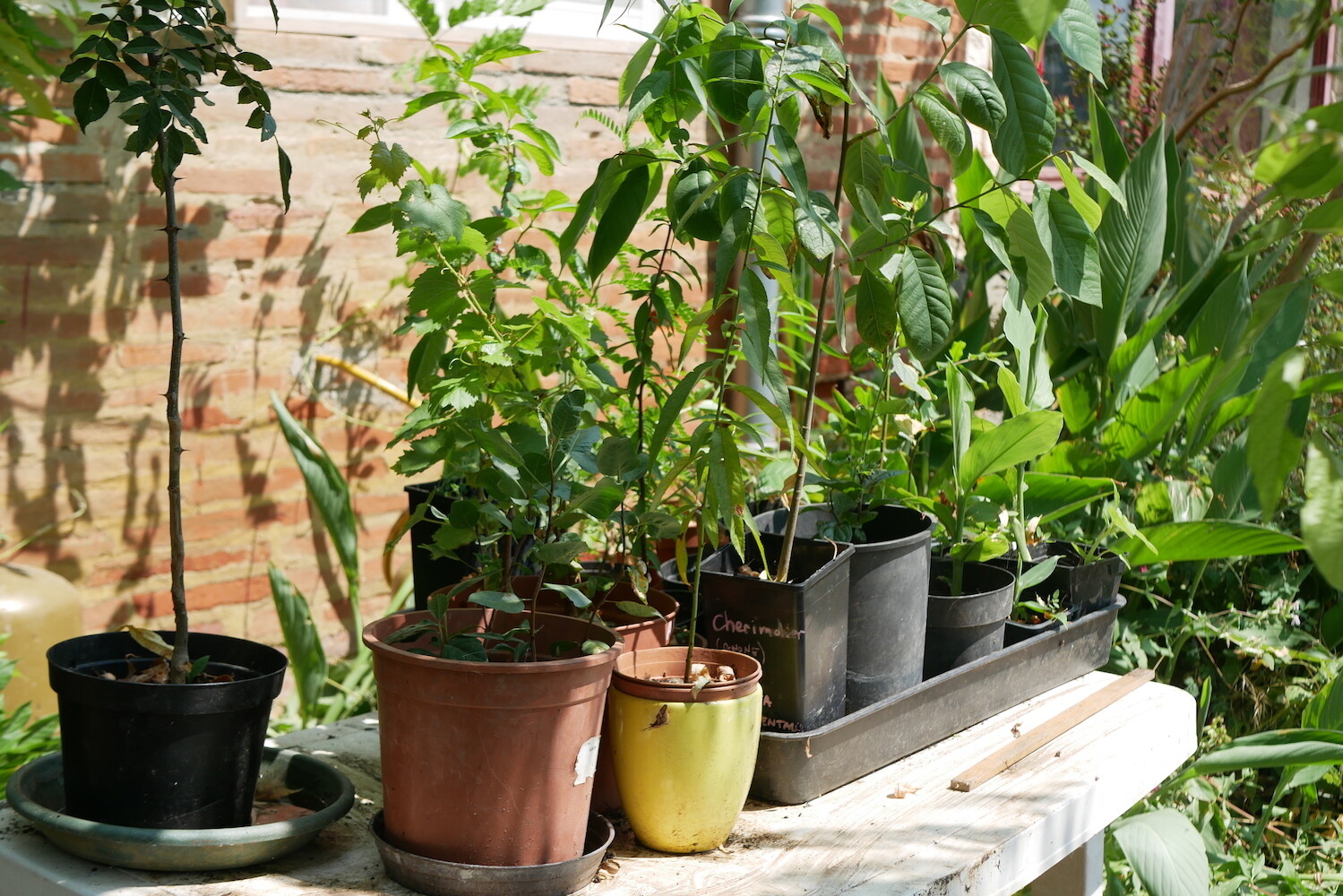 Découvrez la permaculture dans une ferme diversifiée à Toulouse