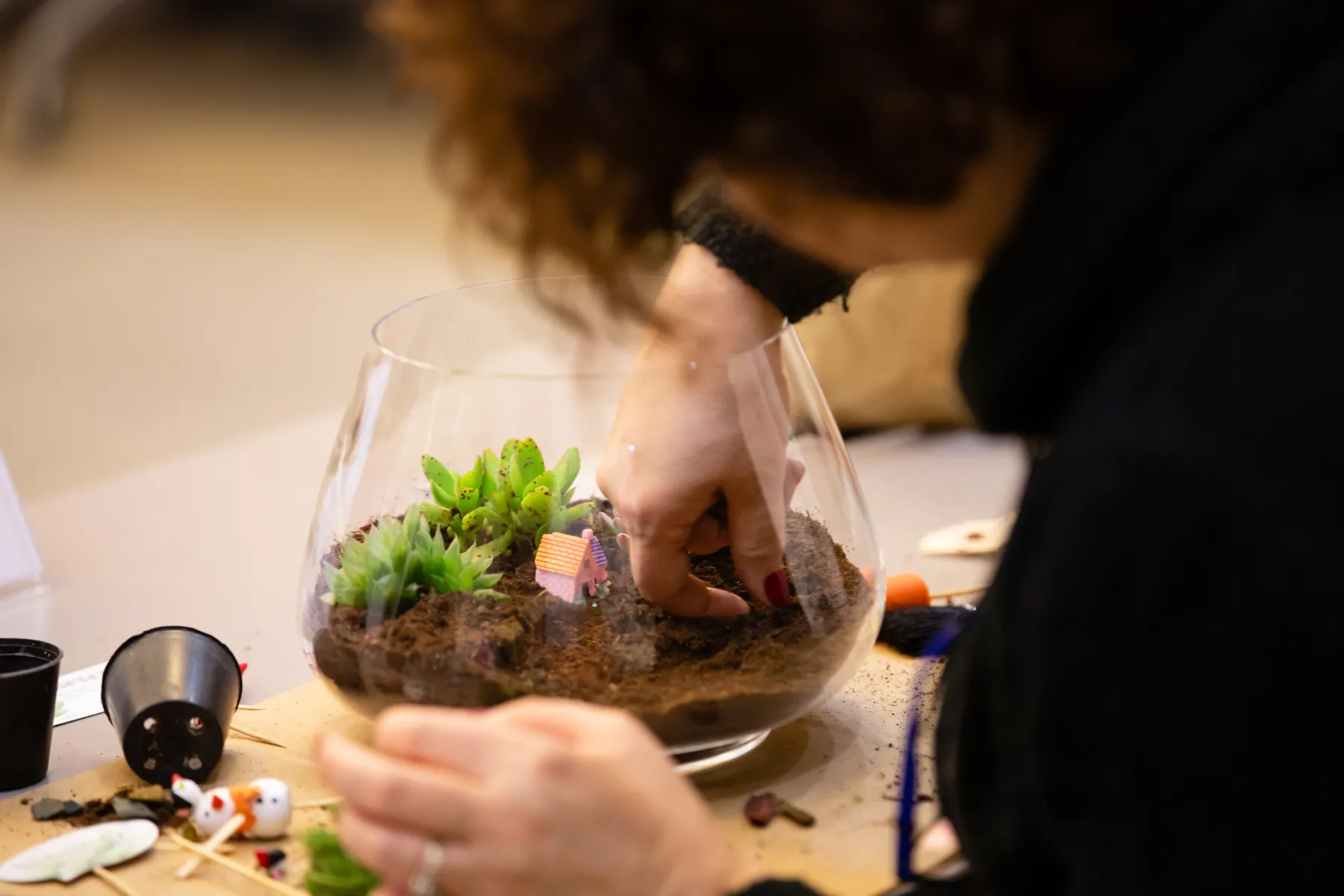 Inspirez votre équipe et réalisez chacun un terrarium unique avec Pascal - Image n°3 - Wecandoo