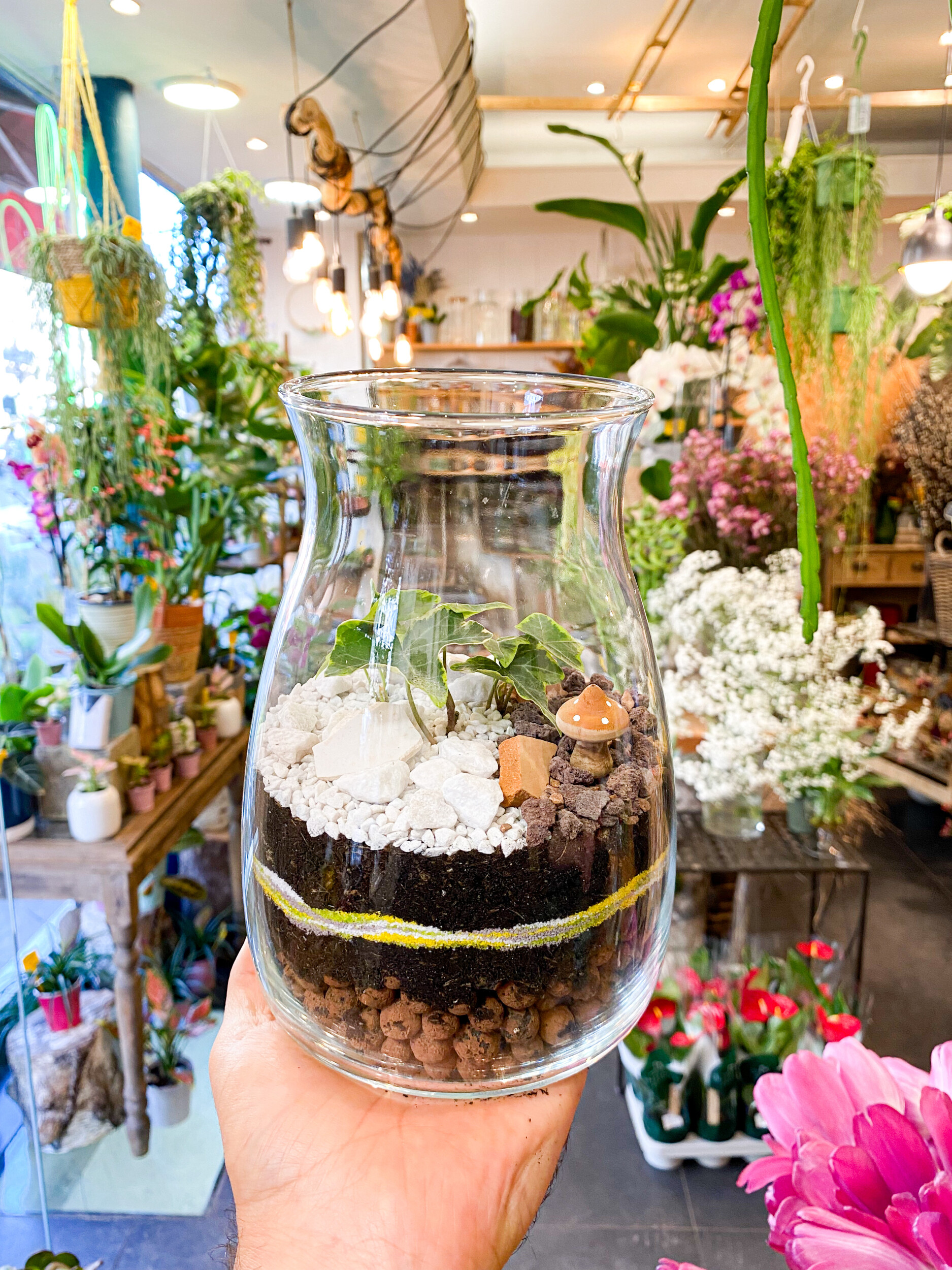 Réalisez vos terrariums uniques en groupe