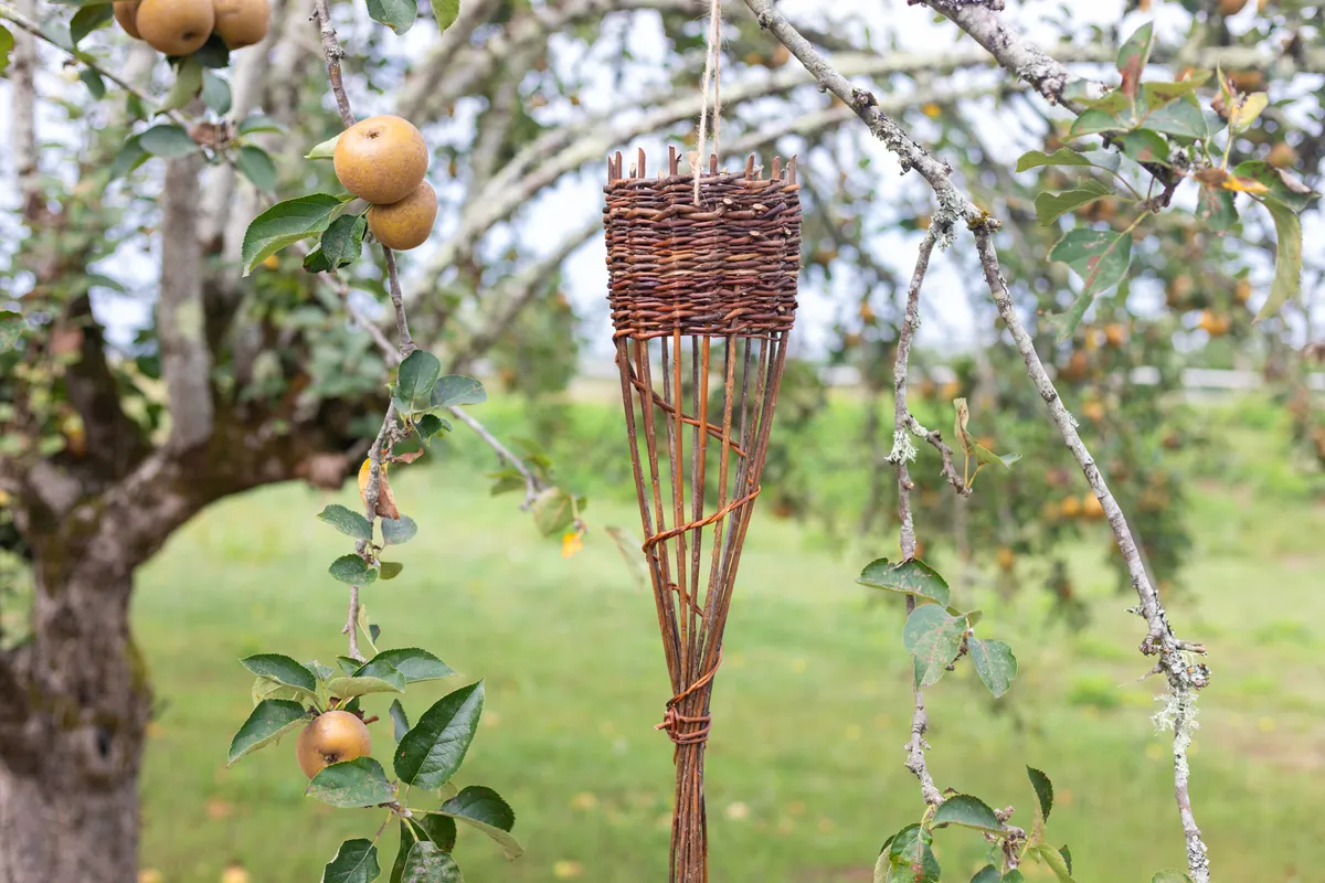 Fabriquez votre mangeoire à oiseaux