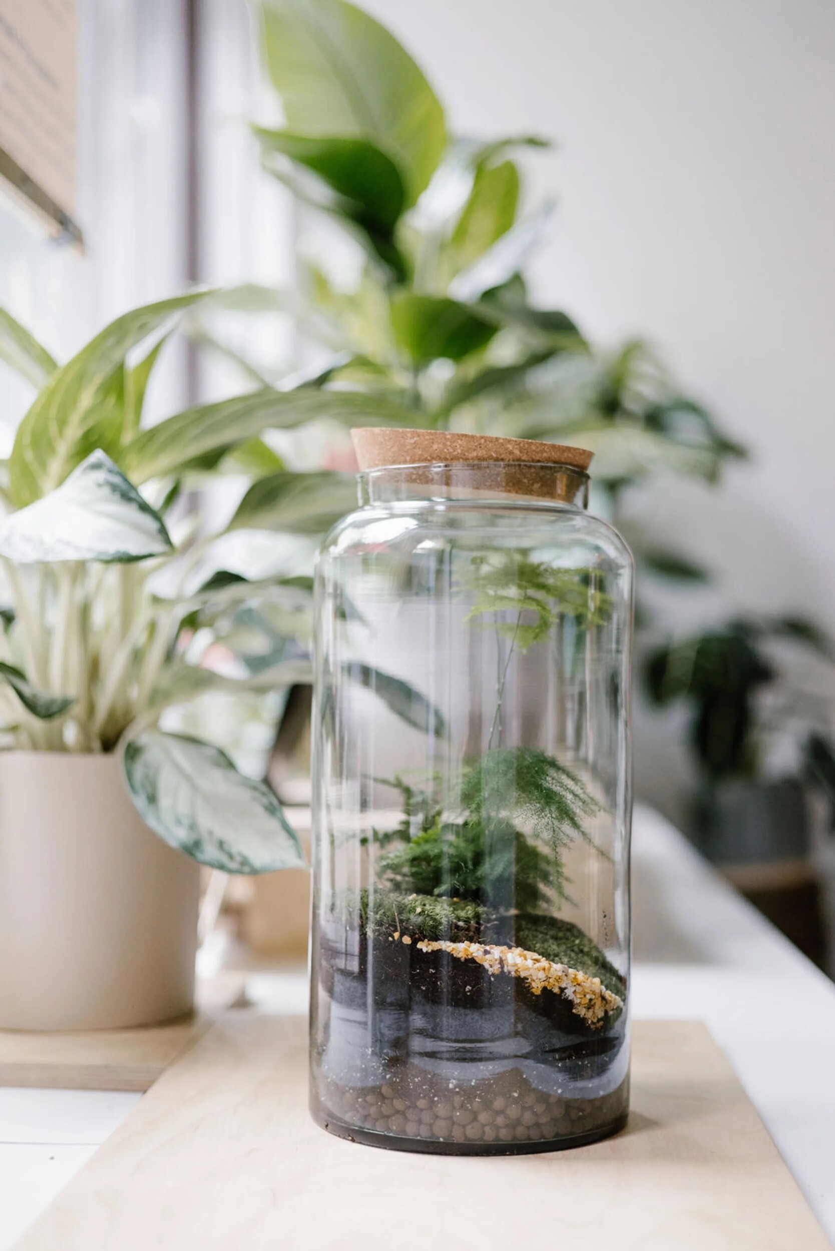 Composez votre petit terrarium