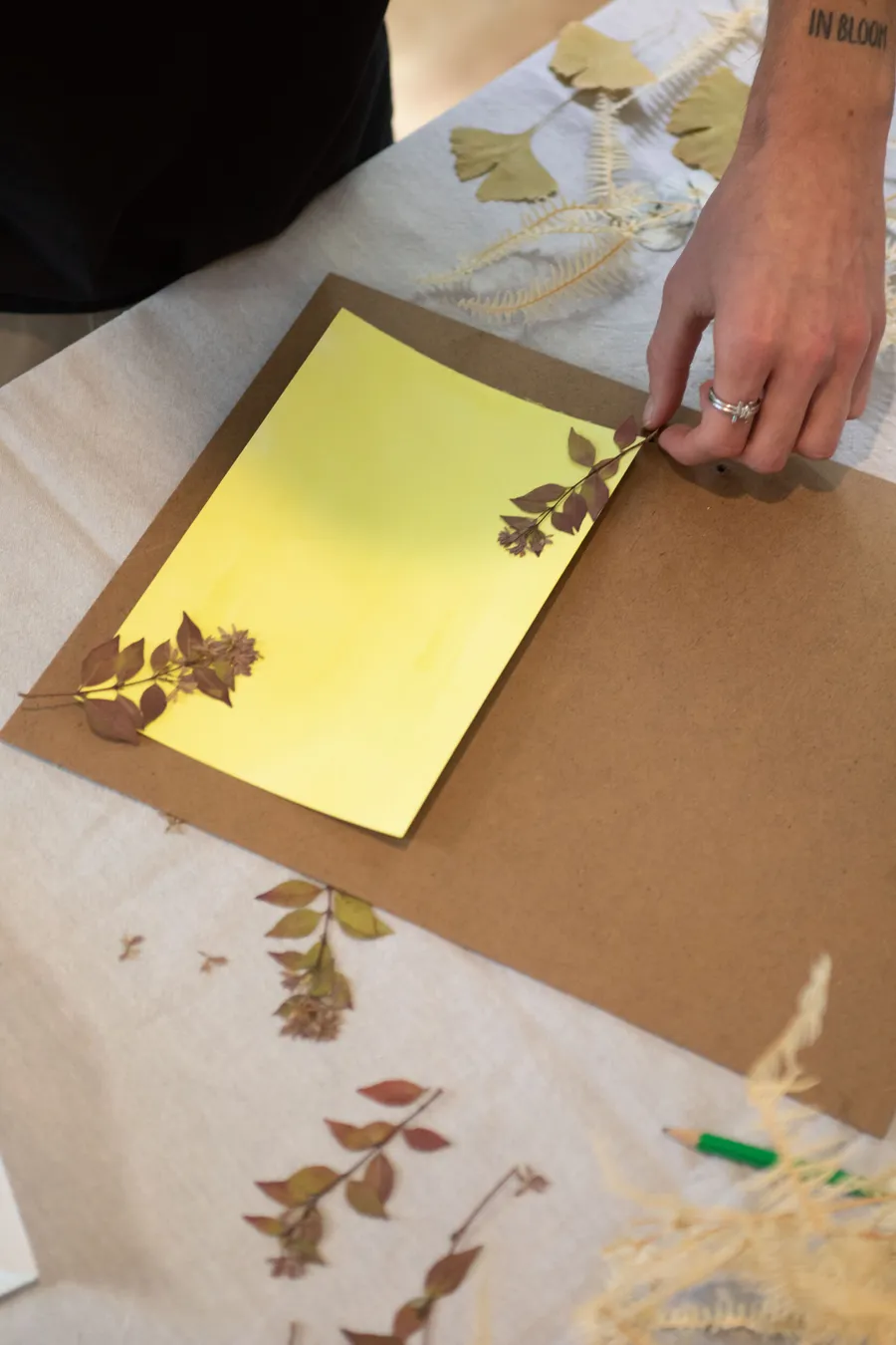 Émerveillez votre équipe et réalisez vos œuvres en cyanotype avec Pierre - Image n°1 - Wecandoo