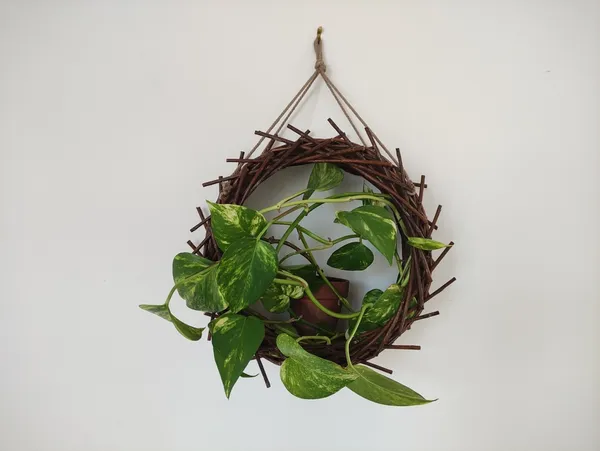 Créez une suspension en osier pour vos plantes ou vos objets avec Estelle - Image n°5 - Wecandoo