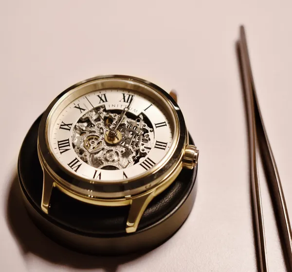 Montez votre montre automatique suisse - Image n°5 - Wecandoo