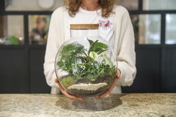 Enchantez votre équipe et réalisez chacun un terrarium unique avec Laura - Afbeelding nr. 2 - Wecandoo