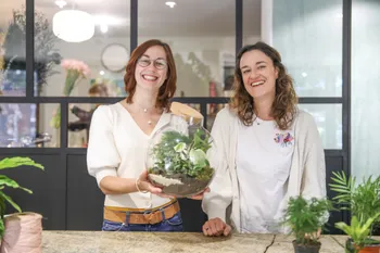 Réalisez vos terrariums en groupe