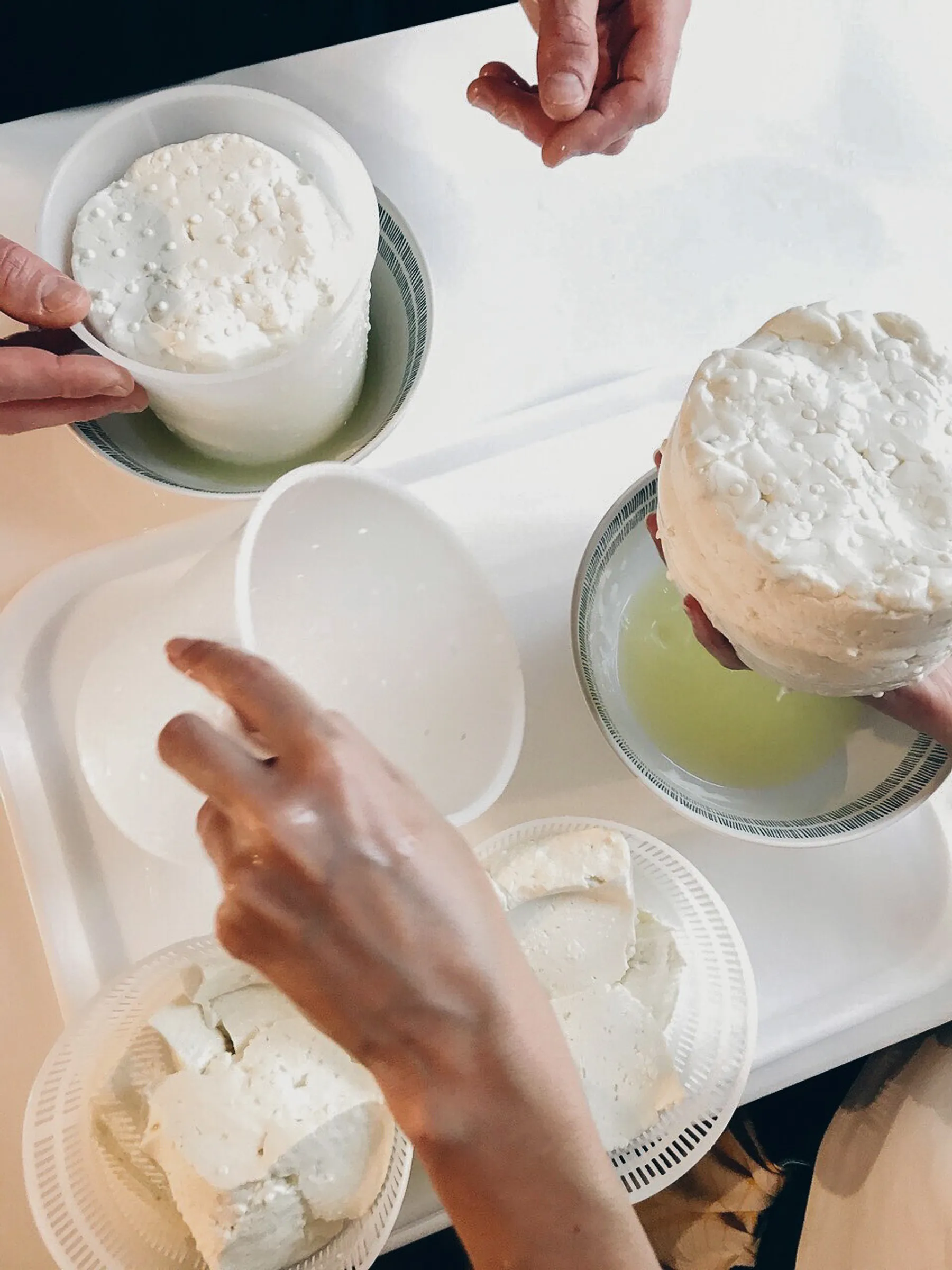 Réunissez votre équipe dans une laiterie et réalisez vos tommes et ricottas avec Anthony - Image n°4 - Wecandoo