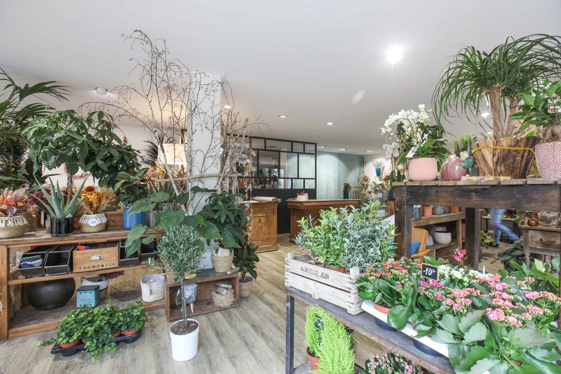 Inspirez votre équipe et réalisez chacun un kokedama unique avec Laura - Image n°4 - Wecandoo