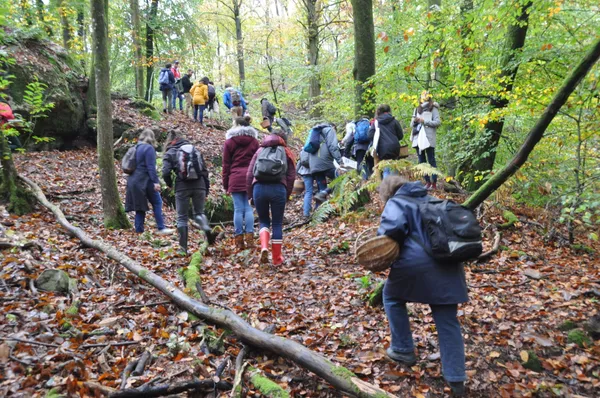 Inspirez votre équipe lors d'une balade et cueillez vos champignons sauvages avec Aurélie - Image n°2 - Wecandoo