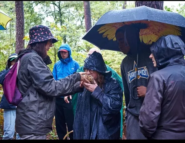 Inspirez votre équipe lors d'une balade et cueillez vos champignons sauvages avec Aurélie - Image n°5 - Wecandoo