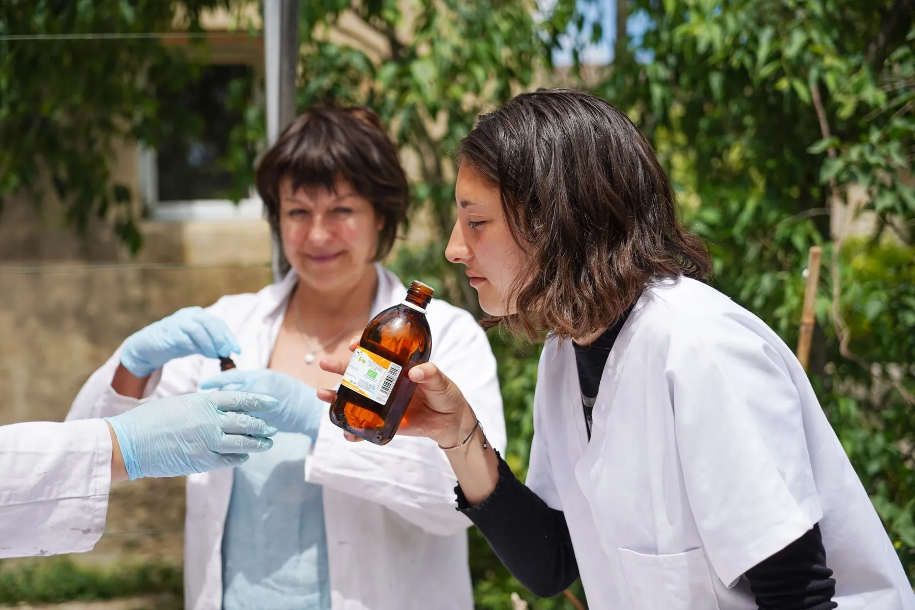 Réalisez votre macérât huileux de plante et votre baume avec Élise - Image n°3 - Wecandoo