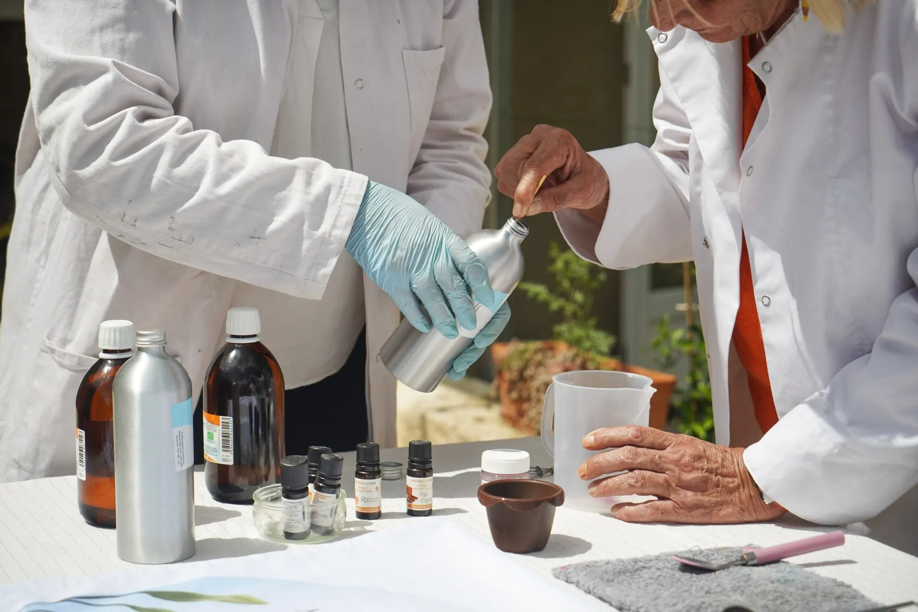 Réalisez votre macérât huileux de plante et votre baume avec Élise - Image n°4 - Wecandoo