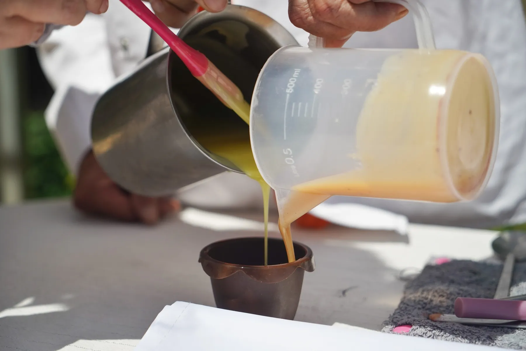 Réalisez votre macérât huileux de plante et votre baume avec Élise - Image n°2 - Wecandoo