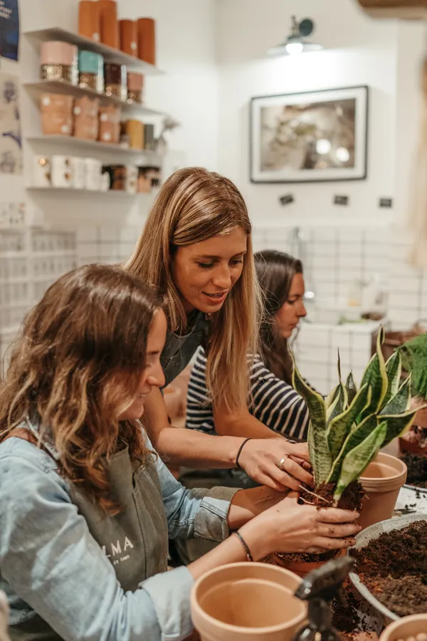 Apprenez à entretenir vos cactus et succulentes avec Baptiste, Alice et Marion - Image n°4 - Wecandoo