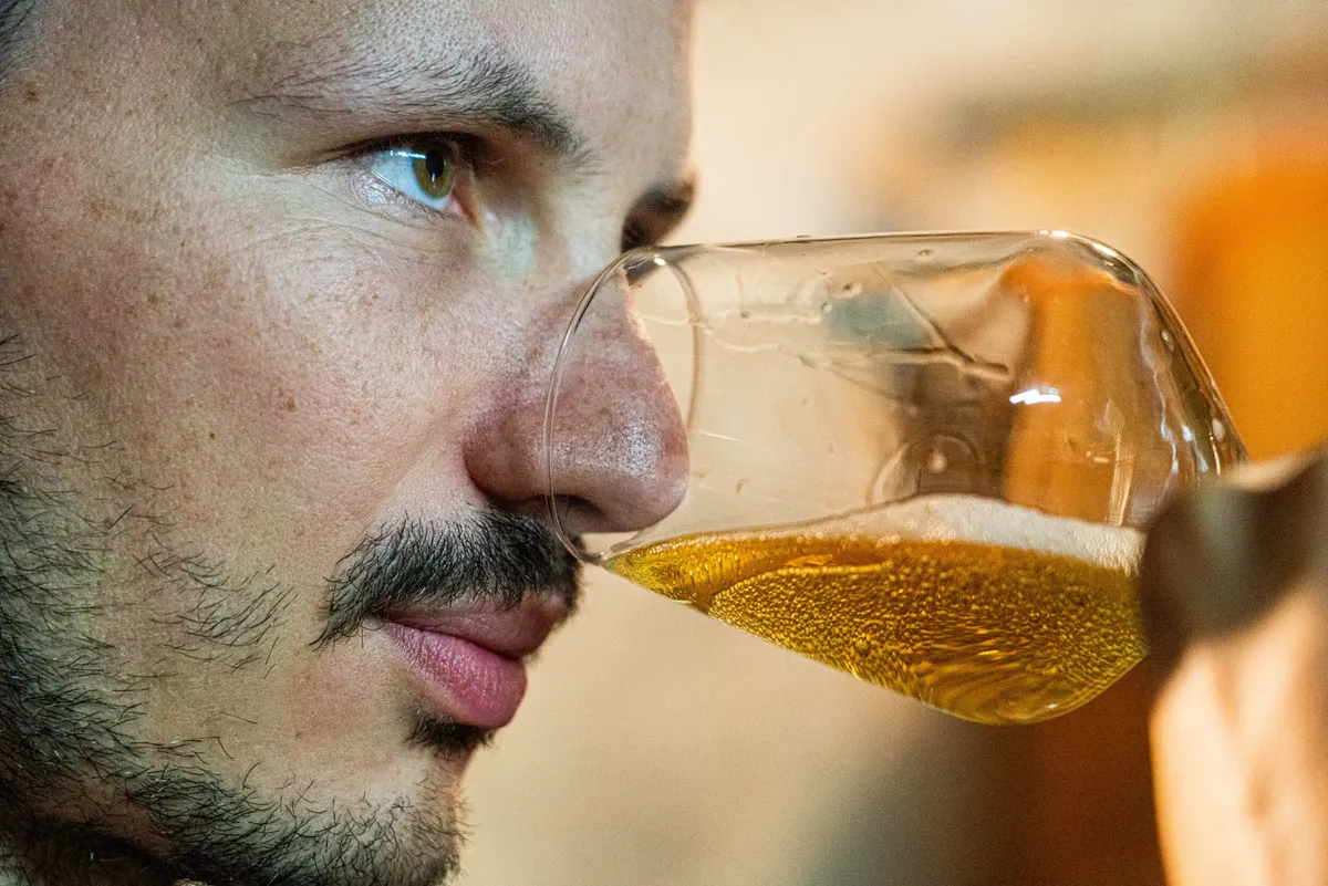 Visitez une cidrerie et dégustez du cidre