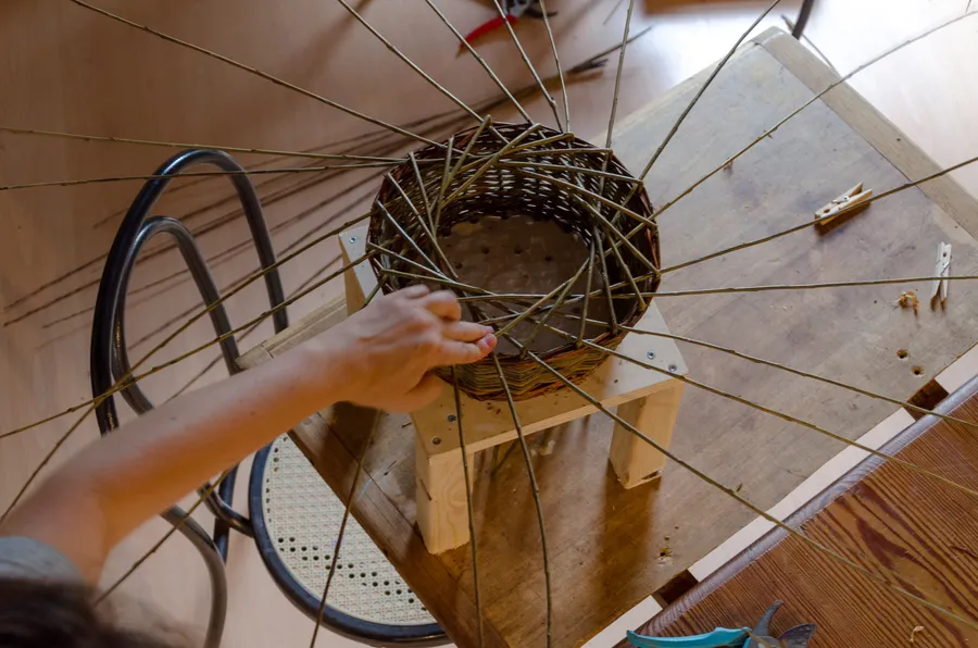 Réalisez votre mangeoire à oiseaux en vannerie avec Aline - Image n°1 - Wecandoo