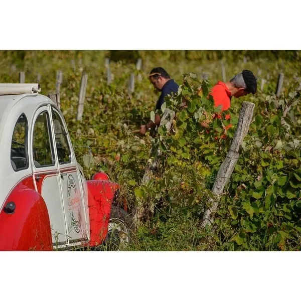 Réunissez votre équipe dans votre lieu et assemblez chacun votre armagnac avec Vincent et son équipe - Image n°3 - Wecandoo