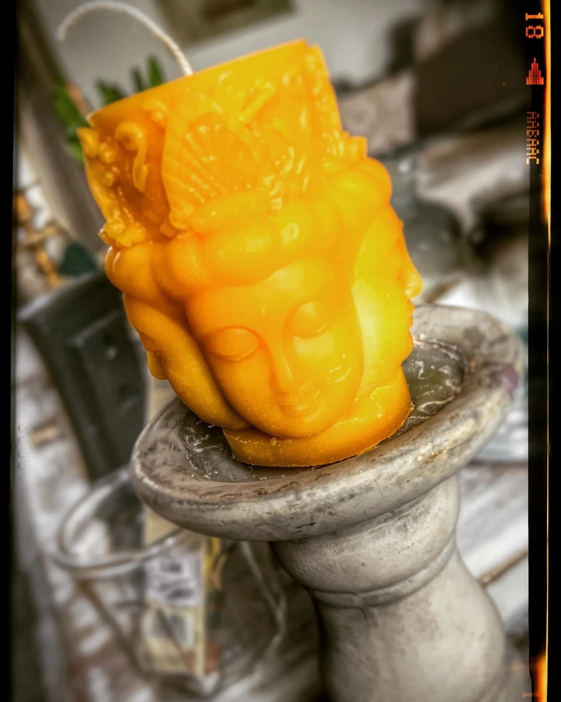 Fabriquez votre bee wrap et votre bougie en cire d'abeille - Image n°5 - Wecandoo