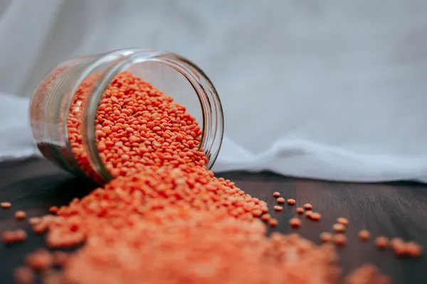 Rassemblez votre équipe et découvrez la cuisine végétarienne de saison avec Céline - Image n°5 - Wecandoo