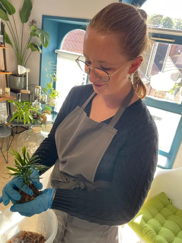 Réalisez votre kokedama avec Emeline - Image n°5 - Wecandoo