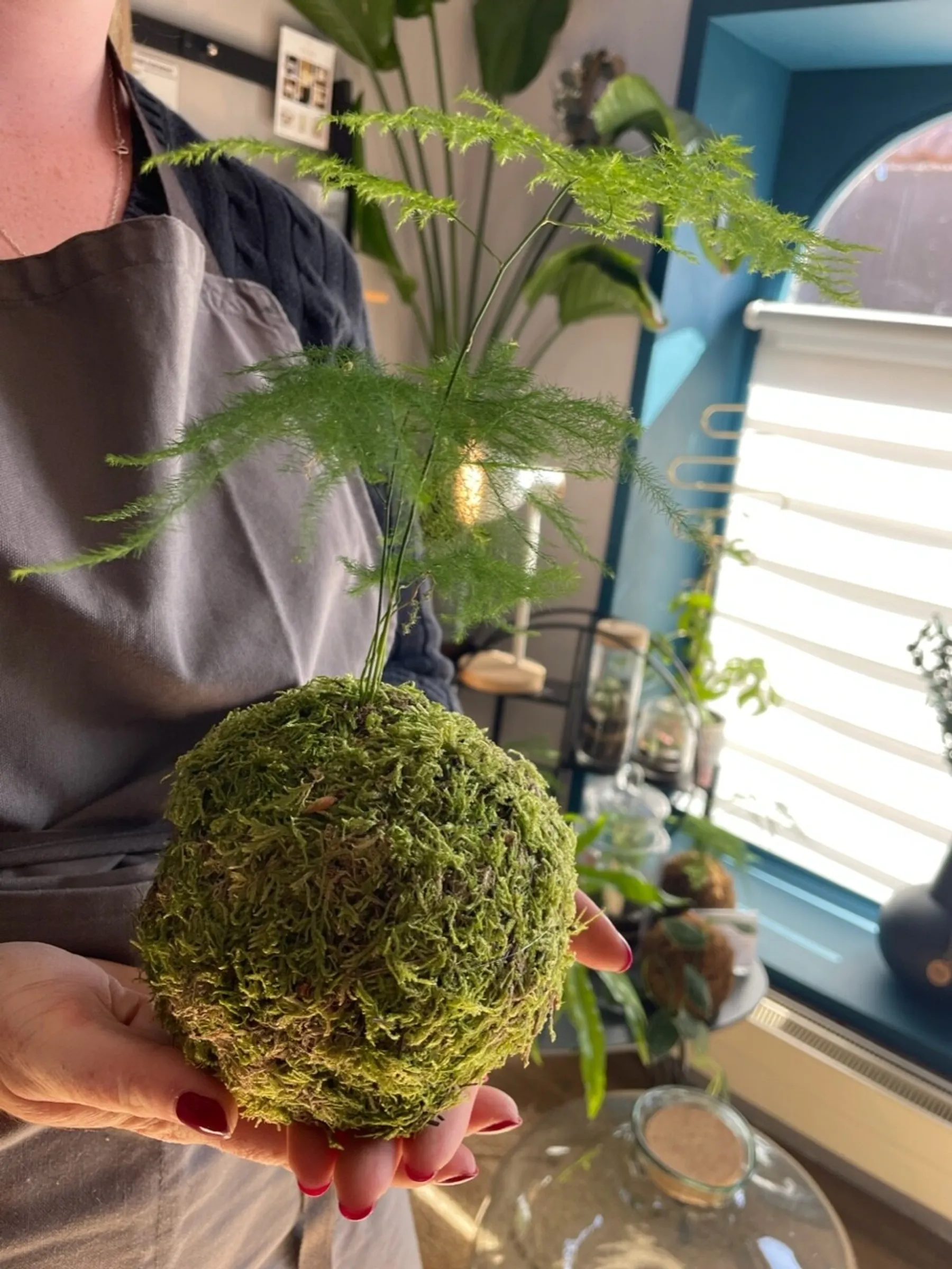 Réalisez votre kokedama avec Emeline - Image n°2 - Wecandoo