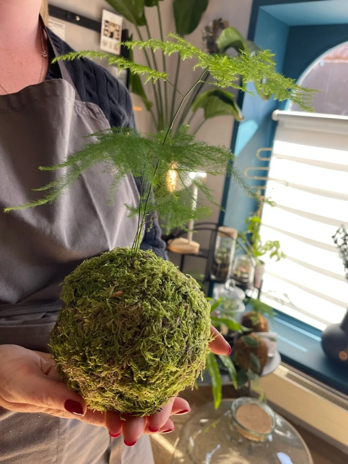 Réalisez votre kokedama