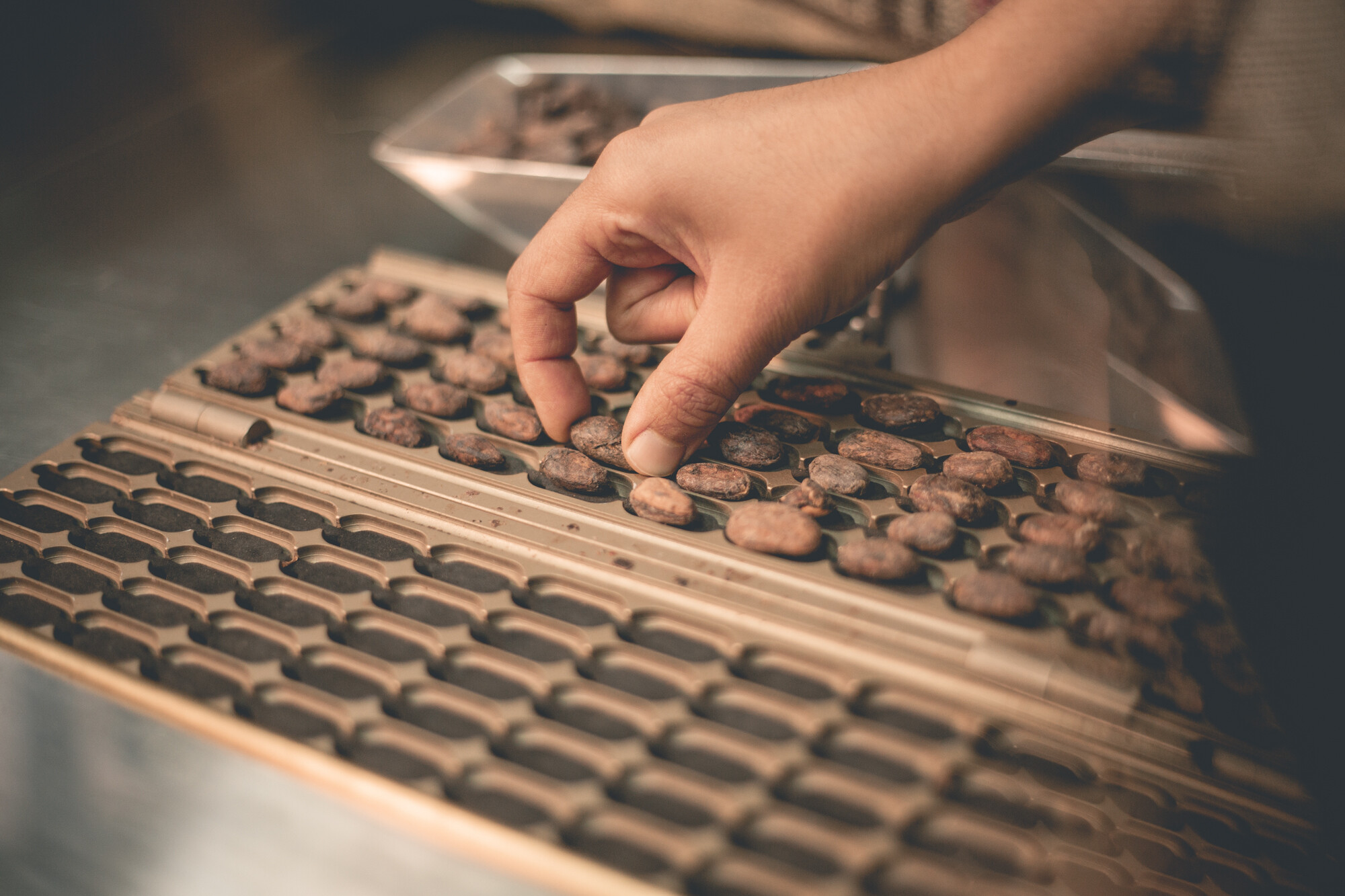 Plongez au coeur des secrets du chocolat
