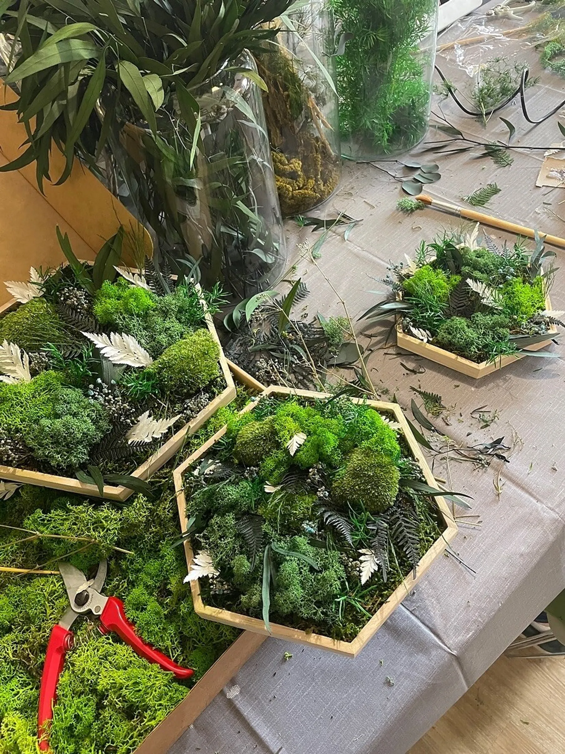 Créez votre oeuvre en végétaux stabilisés avec Emeline - Image n°1 - Wecandoo