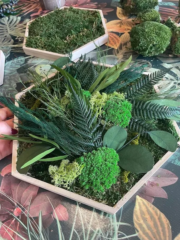 Créez votre oeuvre en végétaux stabilisés avec Emeline - Image n°4 - Wecandoo