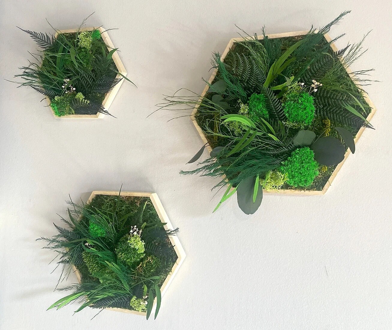 Créez votre oeuvre en végétaux stabilisés