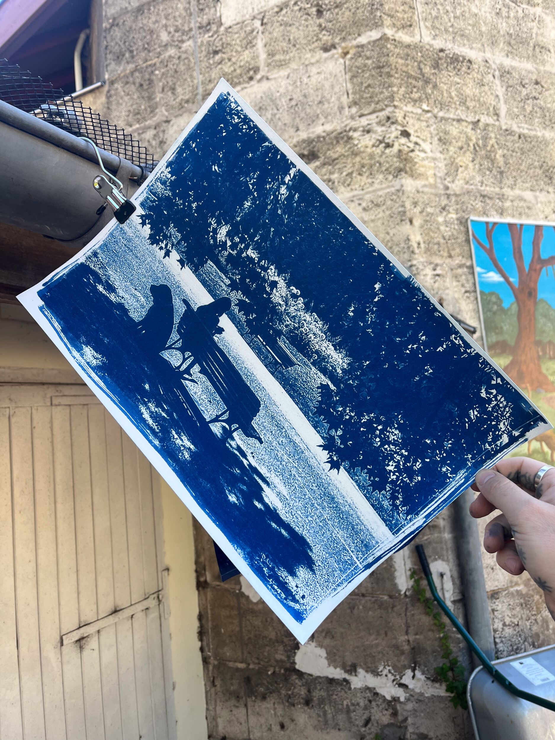 Réalisez vos œuvres en cyanotype en groupe