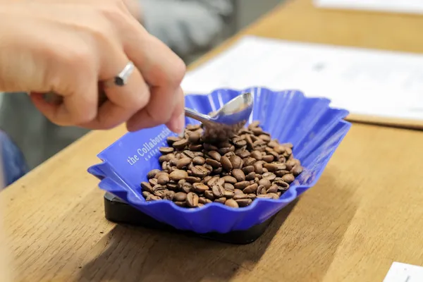 Étonnez votre équipe et découvrez le métier de barista avec Ludovic, torréfacteur et barista - Image n°1 - Wecandoo