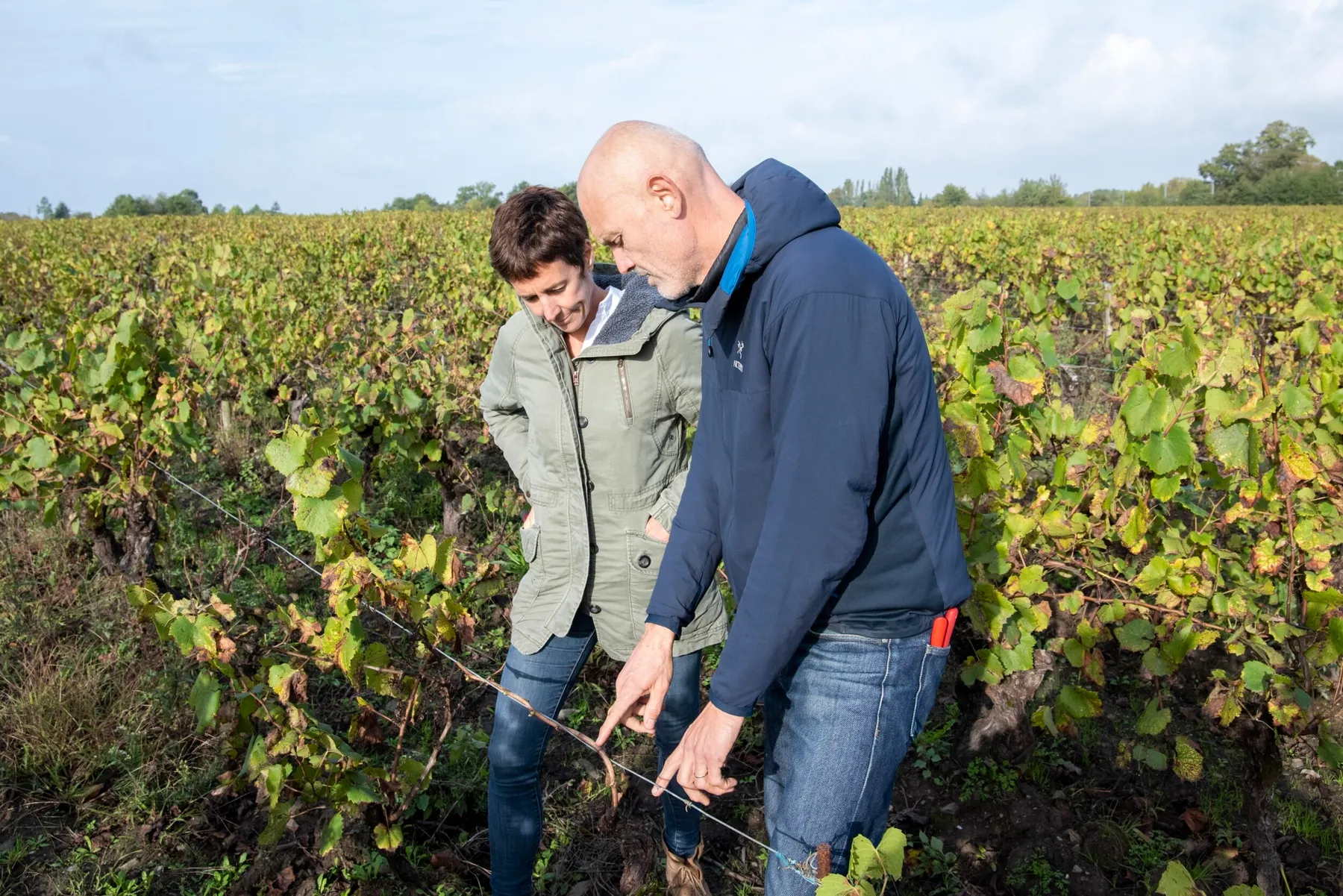 Rassemblez votre équipe et apprenez à tailler la vigne et à déguster du vin avec Vincent et Cécile - Image n°2 - Wecandoo