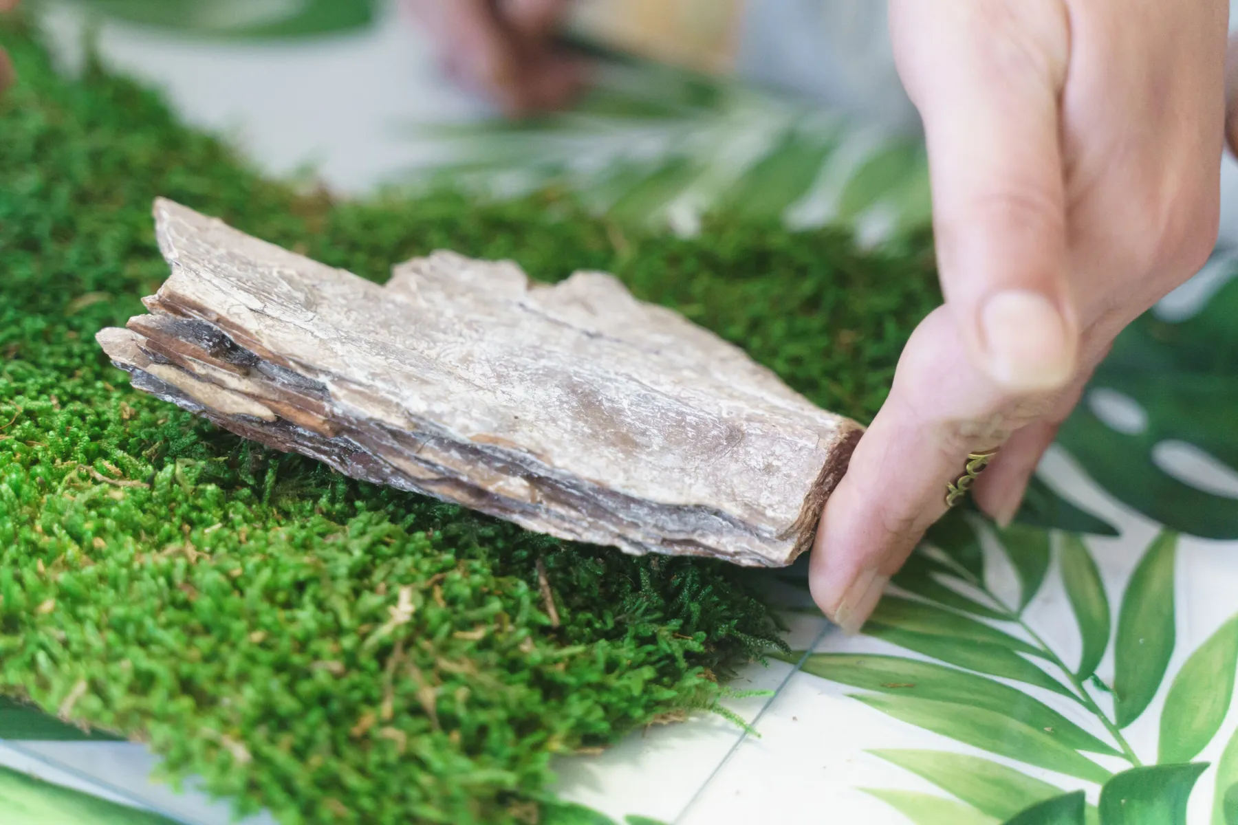 Réalisez votre cadre végétal avec Amélie - Image n°4 - Wecandoo