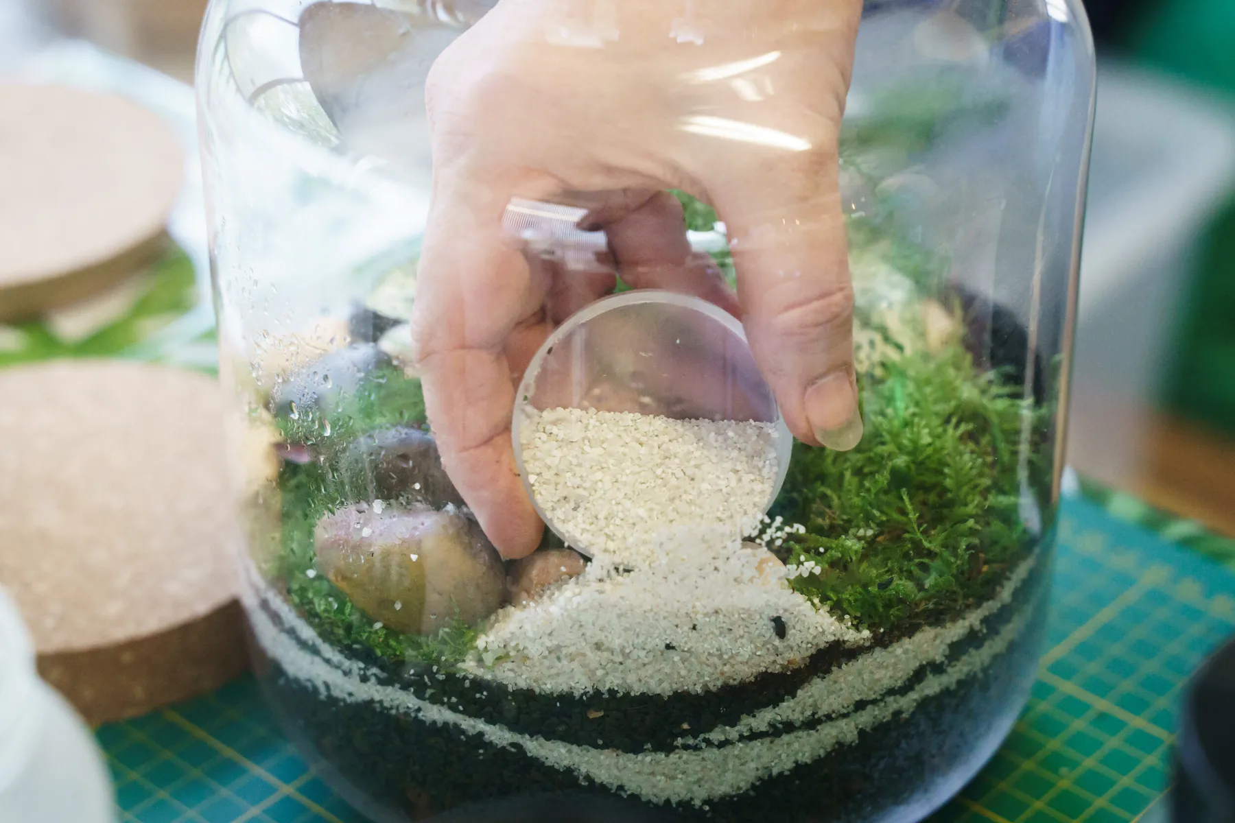 Réalisez votre petit terrarium en groupe avec Amélie - Image n°2 - Wecandoo