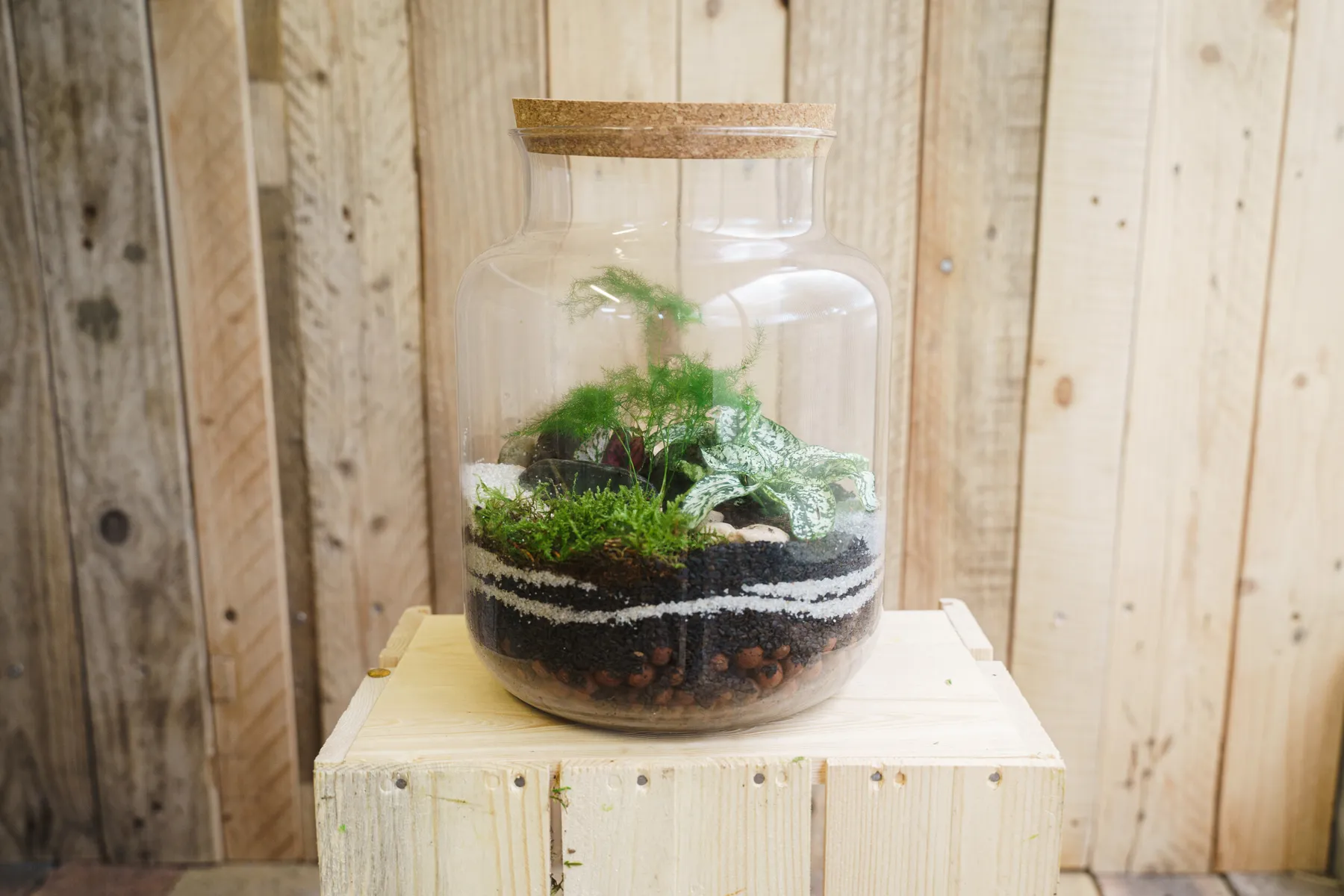 Réalisez votre petit terrarium en groupe avec Amélie - Image n°5 - Wecandoo