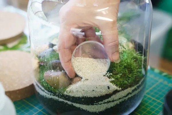 Créez votre terrarium taille M avec Amélie - Image n°2 - Wecandoo