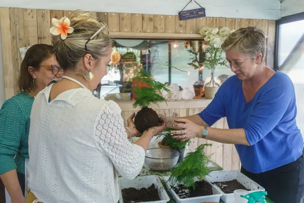 Réalisez votre kokédama avec Amélie - Image n°4 - Wecandoo