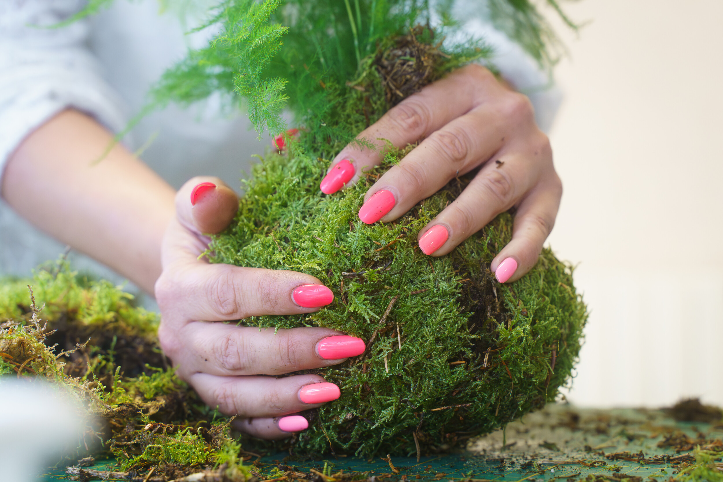 Réalisez votre kokédama dans votre lieu