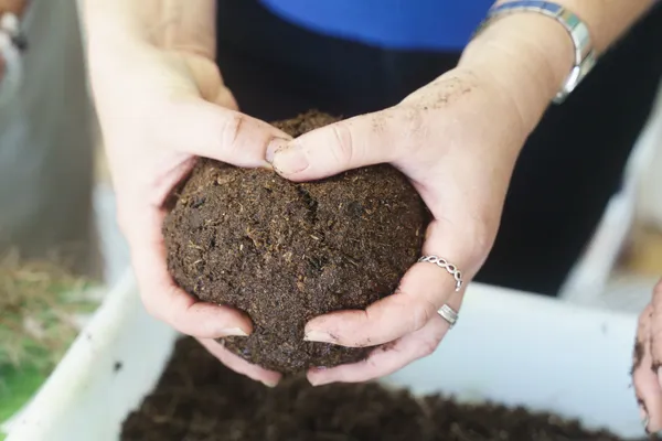 Réalisez votre kokédama en groupe avec Amélie - Image n°2 - Wecandoo