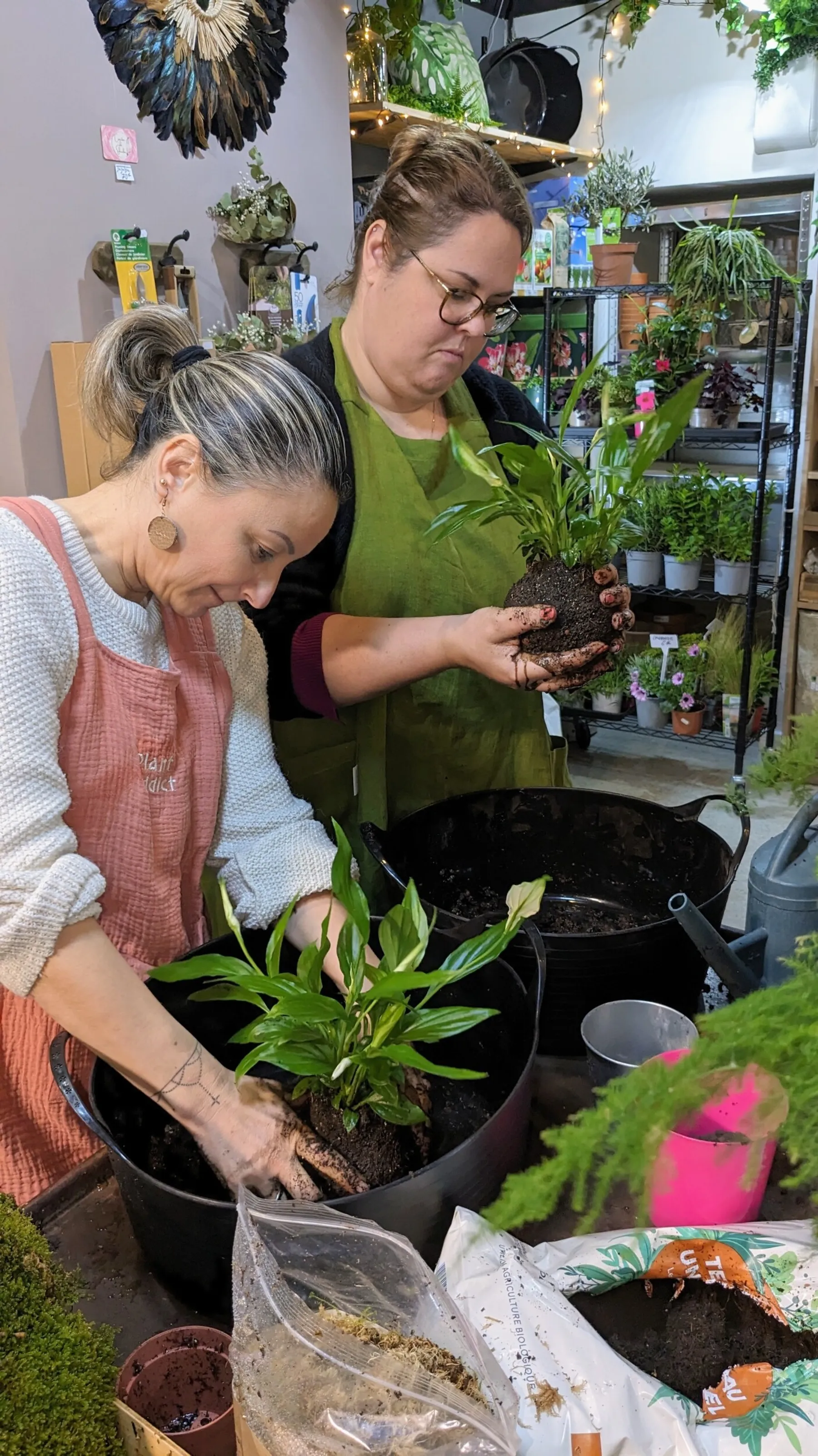 Fabriquez votre kokedama avec Emmanuelle - Image n°3 - Wecandoo