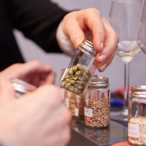 Glissez-vous dans la peau d'un zythologue avec Hélène - Afbeelding nr. 3 - Wecandoo