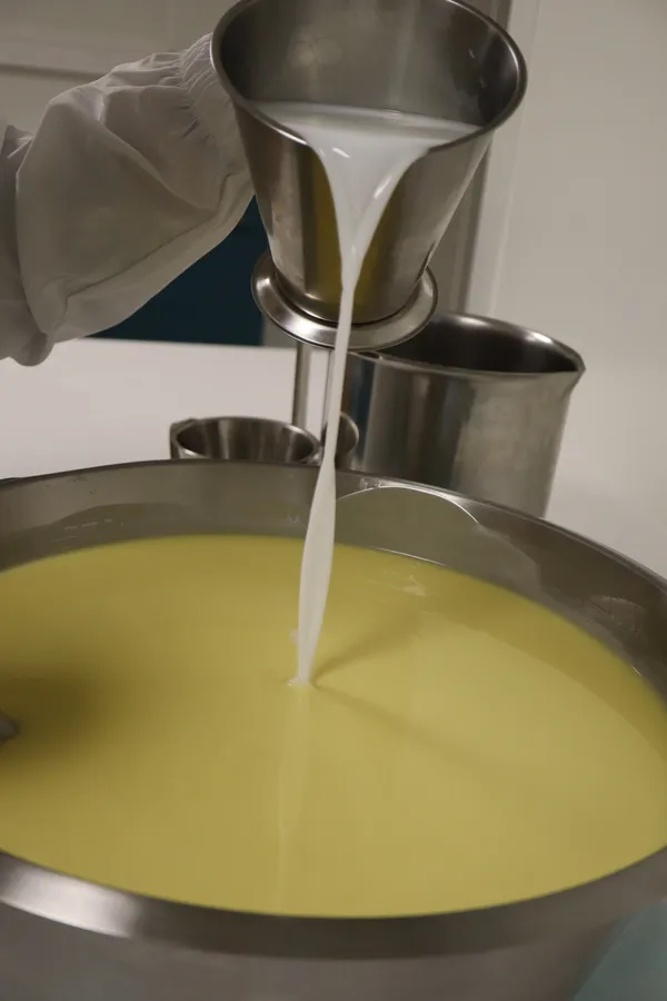 Rassemblez votre équipe et fabriquez vos savons au lait d'ânesse avec Sylvie - Image n°3 - Wecandoo