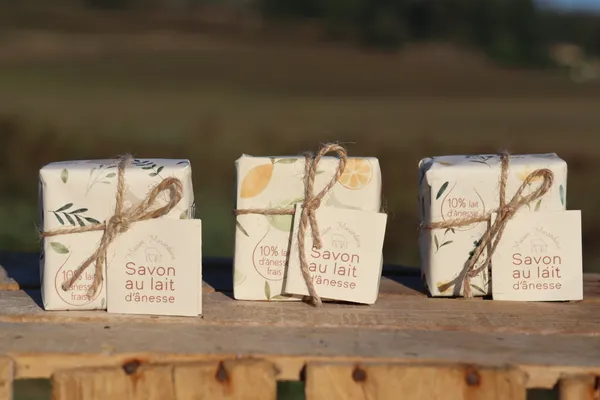 Rassemblez votre équipe et fabriquez vos savons au lait d'ânesse avec Sylvie - Image n°5 - Wecandoo