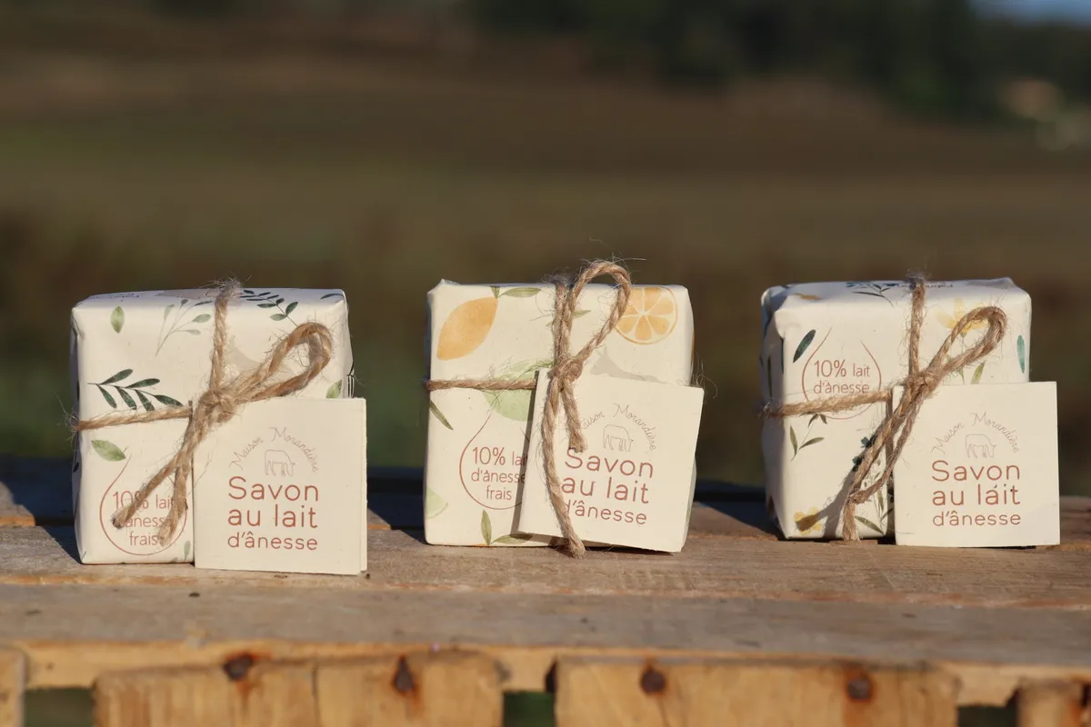 Fabriquez vos savons au lait d'ânesse en équipe