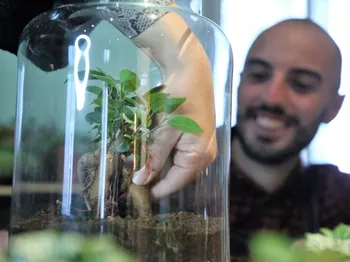 Créez votre petit terrarium en équipe