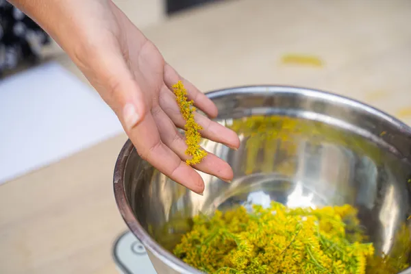 Fabriquez votre palette d'aquarelles végétales avec Aurore - Image n°3 - Wecandoo