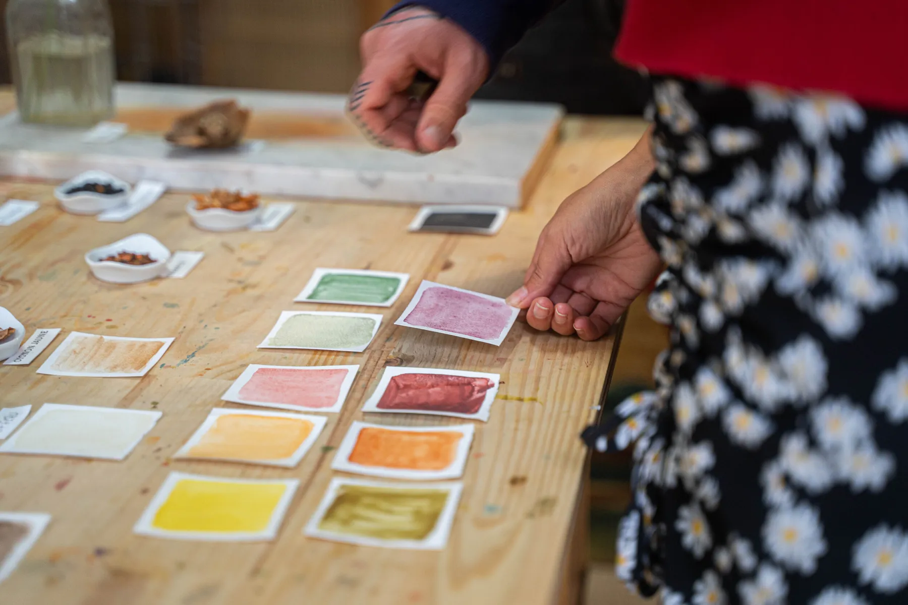 Fabriquez votre palette d'aquarelles végétales avec Aurore - Image n°2 - Wecandoo