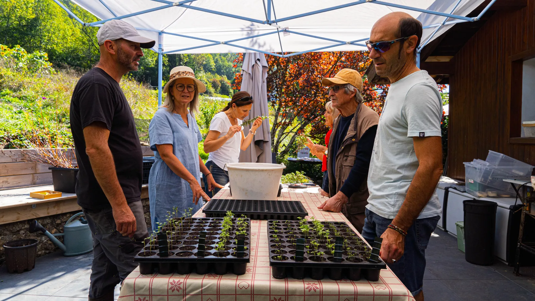Initiez-vous à la permaculture et à l'agroécologie avec Didier - Afbeelding nr. 1 - Wecandoo