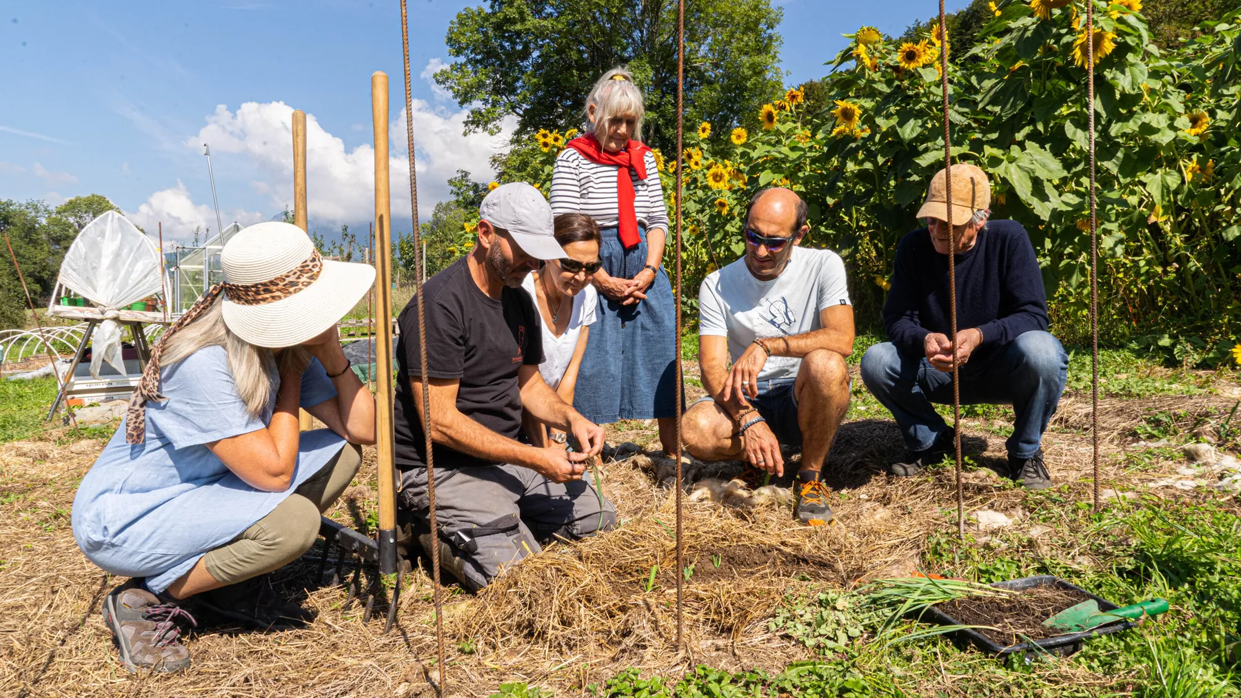 Initiez-vous à la permaculture et à l'agroécologie avec Didier - Afbeelding nr. 4 - Wecandoo